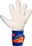 Reusch Attrakt Gold X Evolution Goalkeeper Gloves