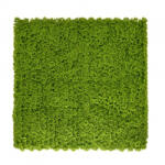 Mirpol Panou perete verde artificial cu muschi Mirpol, 50x50 cm, UV, pentru interior/exterior (5905610253776)