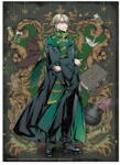 dodo Puzzle Harry Potter cu Draco Malfoy, 250 piese, din carton rezistent (DO200496) Puzzle