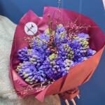 ImodFlowers Buchetul de flori primavara albastra
