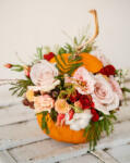 ImodFlowers Buchetul Dovlecelul Colorat
