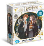 dodo Puzzle Harry Potter cu Hermione si Ronald, 300 piese, Dodo (DO200499) Puzzle