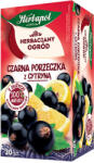 Herbapol Чай Касис и Лимон, 20 филтърни пакетчета (006208 (zx6242131) hp)