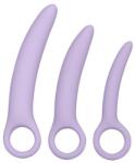 CalExotics Set dilatatoare Alena Dr. Laura Berman, 3 buc, silicon, dimensiuni progresive, CalExotics (D-223968)