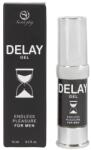 Secretplay Gel pentru întârzierea ejaculării, SecretPlay, Endless Pleasure, prelungește actul și oferă efect răcoritor, 15 ml (D-214077)