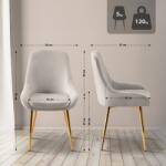 CLP 2 db Elmira bársonyarany étkezőszékből álló készlet, szürke (327228)