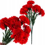 Martom Művirág Szegfű Csokor Tavaszi Díszes Levelek Nád Szegfű (CV35341-2)