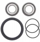 All Balls Első Kerék Csillapító Készlet Tömítésekkel Polaris