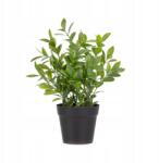 Homla Mesterséges Szobanövény Csere Essentials Csere 23 cm Homla (229328)