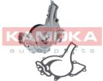 KAMOKA Pompă de apă, răcire motor KAMOKA T0192 (T0192)
