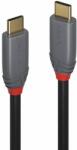 Lindy Кабел Lindy, от USB-C(м) към USB-C(м), 2m, 100W, черен