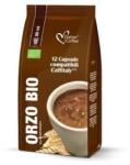 Italian Coffee Set 12 capsule Cafea din Orz BIO, compatibile Cafissimo/Caffitaly/Beanz, Italian Coffee (CC10)