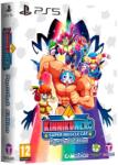 Mameshiba Games KinnikuNeko Super Muscle Cat [Purrrrfect Edition] (PS5)