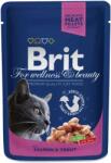  Brit Premium Cat Pouches Norwegian Salmon & Trout 24x100 G