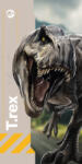 Jerry Fabrics Jurassic World T-Rex fürdőlepedő, strandtörölköző 70x140cm (JFK040379)