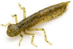 FishUp Dragonfly 2cm #074 Green Pumpkin Seed (4820194850474)