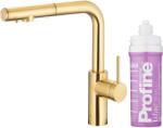 Armatura Duero Pure Basic baterie de bucatarie cu filtru pe picior aur/aur vechi 6623-115-39 (662311539)