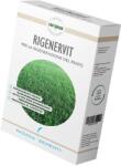 Padana Sementi Seminte Gazon Padana RIGENERVIT - 1 kg (PR-103800)