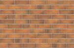 Cemacon (Evoceramic) Caramida aparenta Cemacon VR0103 (240 x 71 x 9 mm) (CEM-VR0103)