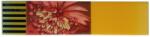  Bordura/ Brau Decorativ 8.5X31.5Cm, Cleopatra Floral (46991)