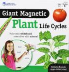 Learning Resources Ciclul Vietii Plantei - Set Magnetic - Learning Resources (ler6045)