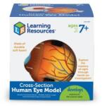 Learning Resources Model Sectiune - Ochiul - Learning Resources (ler1907)