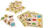 Bigjigs Toys Joc De Memorie - Loto - Bigjigs (bj791)