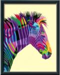 Ravensburger Pictura Pe Numere - Zebra - Ravensburger (rvspbn28994)