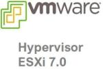 VMware Vsphere Hypervisor 7 (20 Devices, Lifetime) (vmware) - Pc - Official Website - Multilanguage - Worldwide