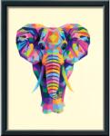 Ravensburger Pictura Pe Numere - Elefant - Ravensburger (rvspbn28995)