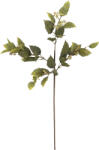 Bloomingville Floare artificială Bloomingville eucalipt 92 cm (82072851)