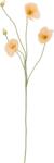 Bloomingville Floare artificială Bloomingville Poppy crem (82072833)