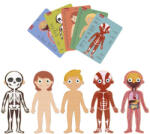 APLI Puzzle Educational, Kids, Corpul Uman - Apli (apl19438) Puzzle