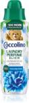 Coccolino Heavenly Fresh aромат за пране 460ml