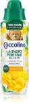 Coccolino Summer Bouquet aромат за пране 460ml