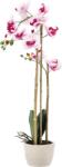 BackHomeLiving Művirág - Orchidea fehér-rózsaszín 70 cm (HID4771)