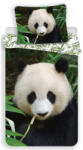 Jerry Fabrics Panda Forest ágyneműhuzat 140×200cm, 70×90 cm (18BS251/Panda02)