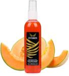 Everin Degresant Everin cu Pulverizator 100ml - Pepene | Cleaner Profesional cu Aromă de Pepene (DEV-P100)