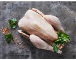 Carne premium Pui cu pene negre Label Rouge Franța (PLRF)