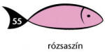  Karton Rainbow 50x70 cm 230g pasztell rózsaszín 55