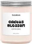 Kosta Boda Lumânare parfumată Mind Cactus Blossom 13, 5 cm (7092571)