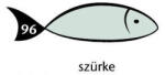  Karton Rainbow 50x70 cm 230g pasztell szürke 96 (PAP1020-0289)