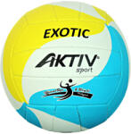 Trendy Röplabda Aktivsport EXOTIC fehér-kék-sárga méret: 5
