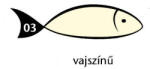  Karton Rainbow 50x70 cm 230g pasztell vajszín 03