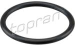 TOPRAN Garnitura, carcasa filtru aer TOPRAN 113 884 (113 884)