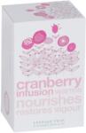 Vintage Teas Cranberry Infusion ceai merisoare 30 plicuri
