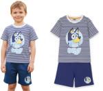  nickelodeon Bluey mintás 2-részes nyári póló és short szett 2 év (92 cm) - prettykids - 3 990 Ft