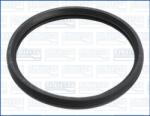 AJUSA Garnitura termostat AJUSA 01191600 (01191600)