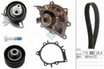 INA Set pompa apa + curea dintata INA 530 0691 30 (530 0691 30)