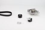 Continental Ctam Set pompa apa + curea dintata CONTINENTAL CTAM CT1142WP1 (CT1142WP1) - fixbox